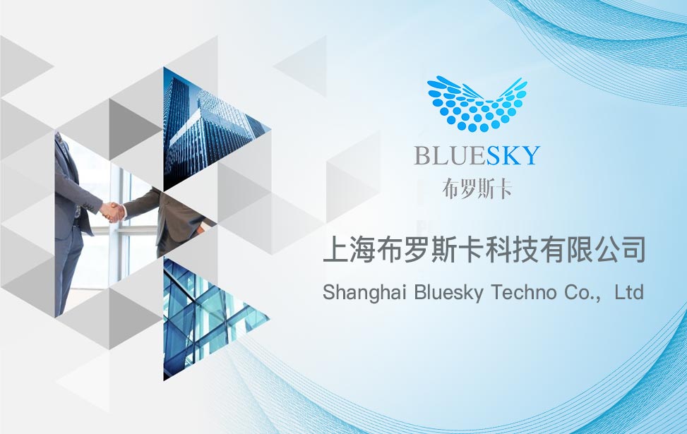 公司简介(Bluesky)